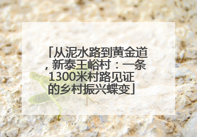 从泥水路到黄金道，新泰王峪村：一条1300米村路见证的乡村振兴蝶变