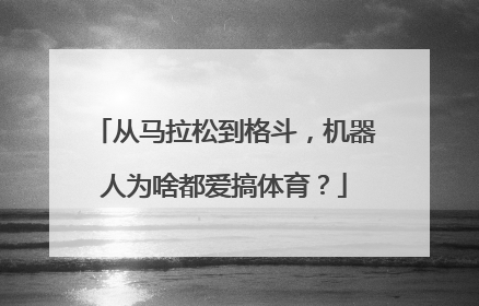 从马拉松到格斗，机器人为啥都爱搞体育？