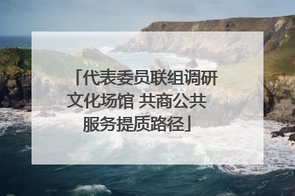 代表委员联组调研文化场馆 共商公共服务提质路径