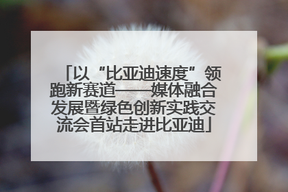 以“比亚迪速度”领跑新赛道——媒体融合发展暨绿色创新实践交流会首站走进比亚迪