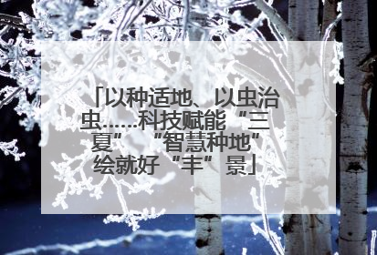 以种适地、以虫治虫……科技赋能“三夏” “智慧种地”绘就好“丰”景