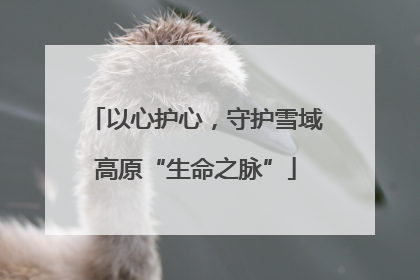 以心护心，守护雪域高原“生命之脉”