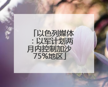 以色列媒体：以军计划两月内控制加沙75%地区