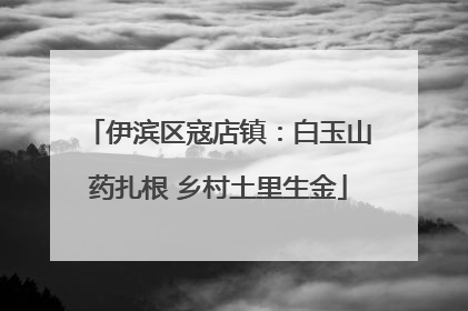 伊滨区寇店镇：白玉山药扎根 乡村土里生金