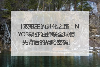 双冠王的进化之路：NYO3磷虾油蝉联全球领先背后的战略密码