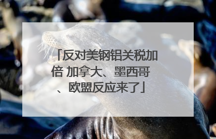 反对美钢铝关税加倍 加拿大、墨西哥、欧盟反应来了