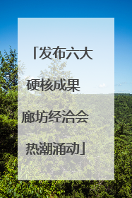 发布六大硬核成果 廊坊经洽会热潮涌动