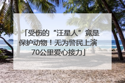 受伤的“汪星人”竟是保护动物！无为警民上演70公里爱心接力
