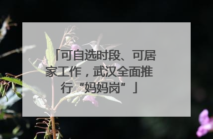 可自选时段、可居家工作，武汉全面推行“妈妈岗”