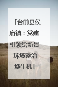 台前县侯庙镇：党建引领绘新景 环境整治焕生机