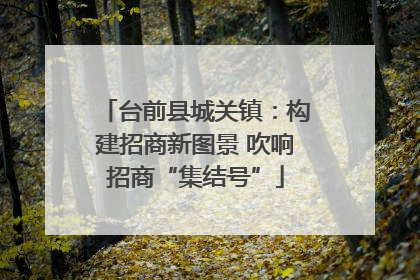 台前县城关镇：构建招商新图景 吹响招商“集结号”