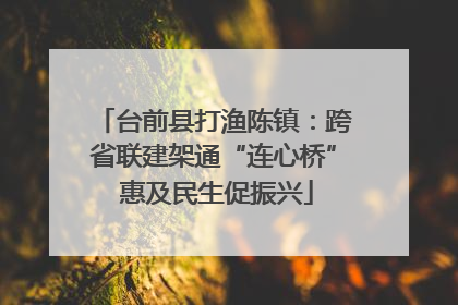 台前县打渔陈镇：跨省联建架通“连心桥” 惠及民生促振兴