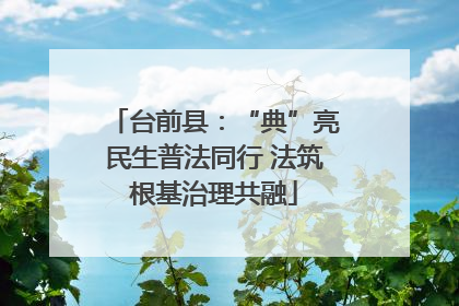 台前县：“典”亮民生普法同行 法筑根基治理共融