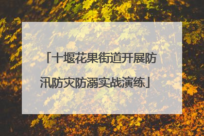 十堰花果街道开展防汛防灾防溺实战演练