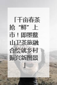 千亩春茶抢“鲜”上市！即墨鳌山卫茶旅融合绘就乡村振兴新图景