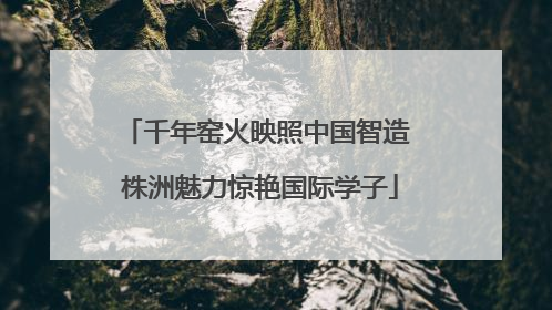 千年窑火映照中国智造 株洲魅力惊艳国际学子