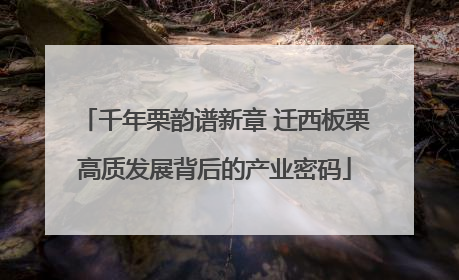 千年栗韵谱新章 迁西板栗高质发展背后的产业密码