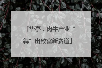 华亭：肉牛产业“犇”出致富新赛道