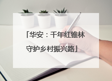 华安：千年红锥林守护乡村振兴路