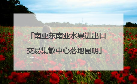 南亚东南亚水果进出口交易集散中心落地昆明