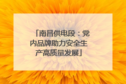 南昌供电段：党内品牌助力安全生产高质量发展