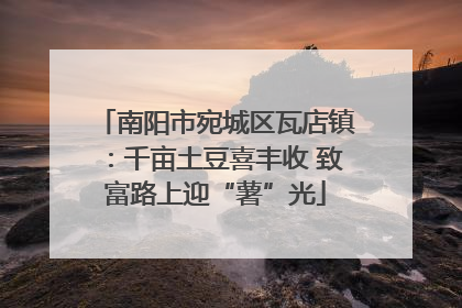南阳市宛城区瓦店镇：千亩土豆喜丰收 致富路上迎“薯”光