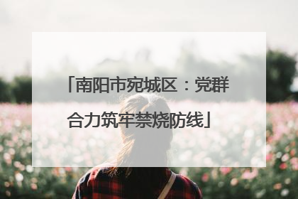 南阳市宛城区：党群合力筑牢禁烧防线