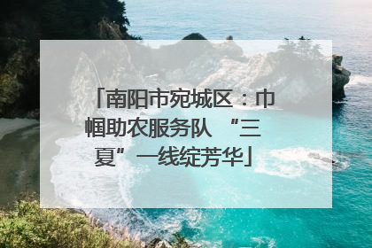 南阳市宛城区：巾帼助农服务队 “三夏”一线绽芳华