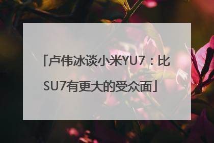 卢伟冰谈小米YU7：比SU7有更大的受众面