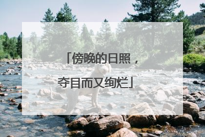 傍晚的日照，夺目而又绚烂