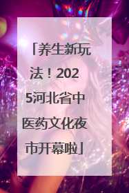 养生新玩法！2025河北省中医药文化夜市开幕啦