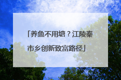 养鱼不用塘？江陵秦市乡创新致富路径