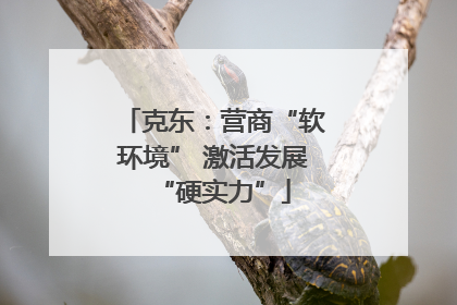 克东：营商“软环境” 激活发展“硬实力”