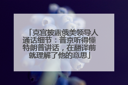 克宫披露俄美领导人通话细节：普京听得懂特朗普讲话，在翻译前就理解了他的意思
