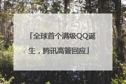 全球首个满级QQ诞生，腾讯高管回应