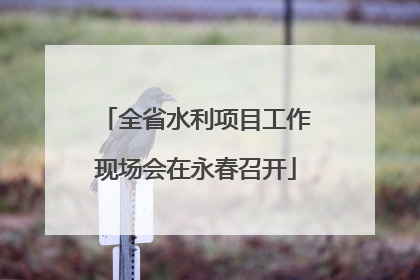 全省水利项目工作现场会在永春召开