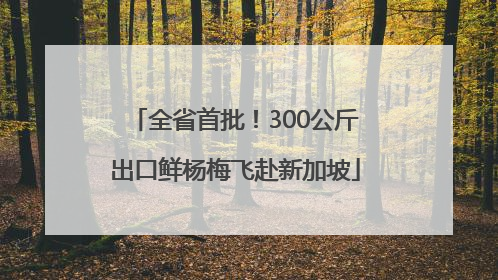 全省首批！300公斤出口鲜杨梅飞赴新加坡