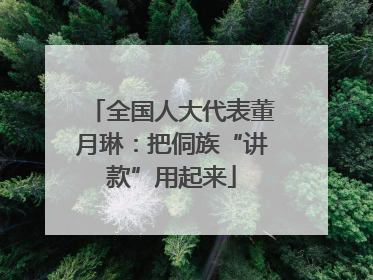 全国人大代表董月琳：把侗族“讲款”用起来