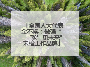 全国人大代表金不换：做强“‘豫’见未来”未检工作品牌