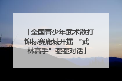 全国青少年武术散打锦标赛鹿城开擂 “武林高手”强强对话