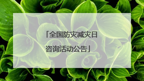 全国防灾减灾日咨询活动公告