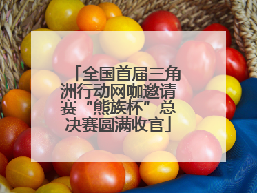 全国首届三角洲行动网咖邀请赛“熊族杯”总决赛圆满收官