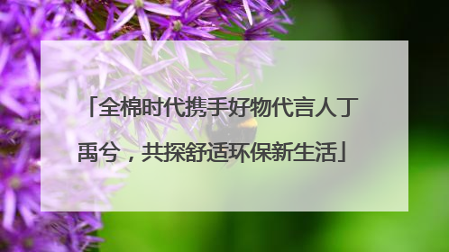 全棉时代携手好物代言人丁禹兮，共探舒适环保新生活