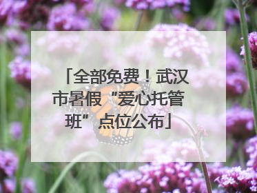 全部免费！武汉市暑假“爱心托管班”点位公布