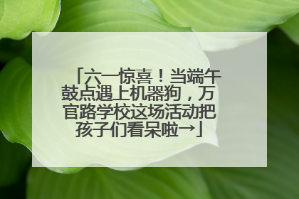 六一惊喜！当端午鼓点遇上机器狗，万官路学校这场活动把孩子们看呆啦→