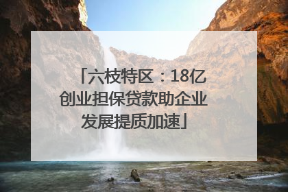 六枝特区：18亿创业担保贷款助企业发展提质加速