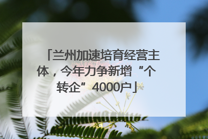 兰州加速培育经营主体，今年力争新增“个转企”4000户