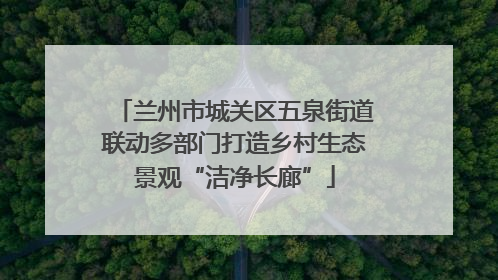 兰州市城关区五泉街道联动多部门打造乡村生态景观“洁净长廊”