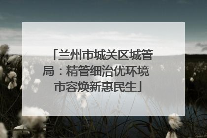 兰州市城关区城管局：精管细治优环境 市容焕新惠民生