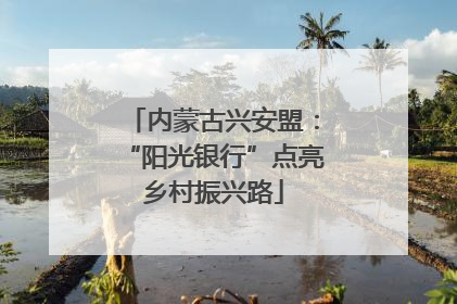 内蒙古兴安盟：“阳光银行”点亮乡村振兴路